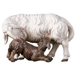Sheep  Lamb  : Wood carved...