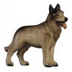 German shepherd dog: wood...