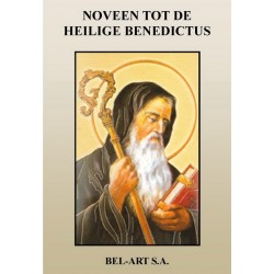 Book  Noveen tot Heilige...