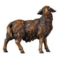 Black Sheep : Wood carved...