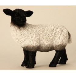 Mouton   31 Cm     Noir