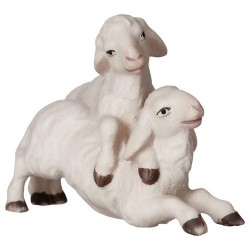 Couple d'agneaux : crèche...