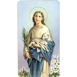 Set of 10 - picture St. Agnes