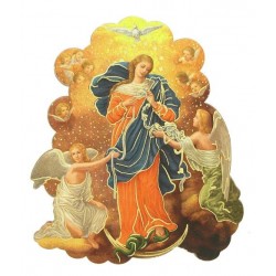 car magnet plate  our Lady...