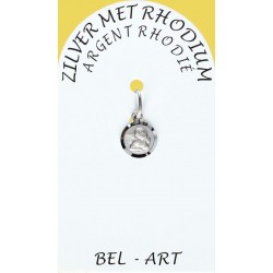 Medaille Zilver + Rhodium -...