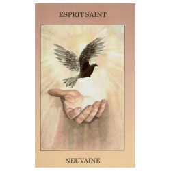 Boek - Neuvaine au St...