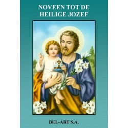 Boek - Noveen tot de...