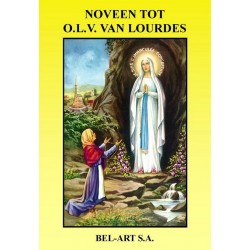 Book  Noveen tot OLV van...