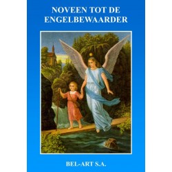 Boek - Noveen tot de...