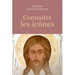 Connaître les icônes