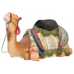 Camel coat / Luggage for a...