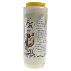 Noveenkaars / wit / H...