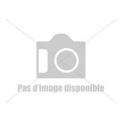 Statue Saint Antoine de...