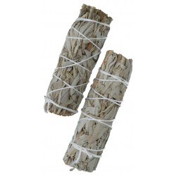 Twee pakjes witte salie...