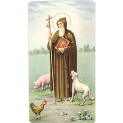 Set of 10 - picture St....