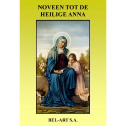 Book  Noveen tot Heilige...